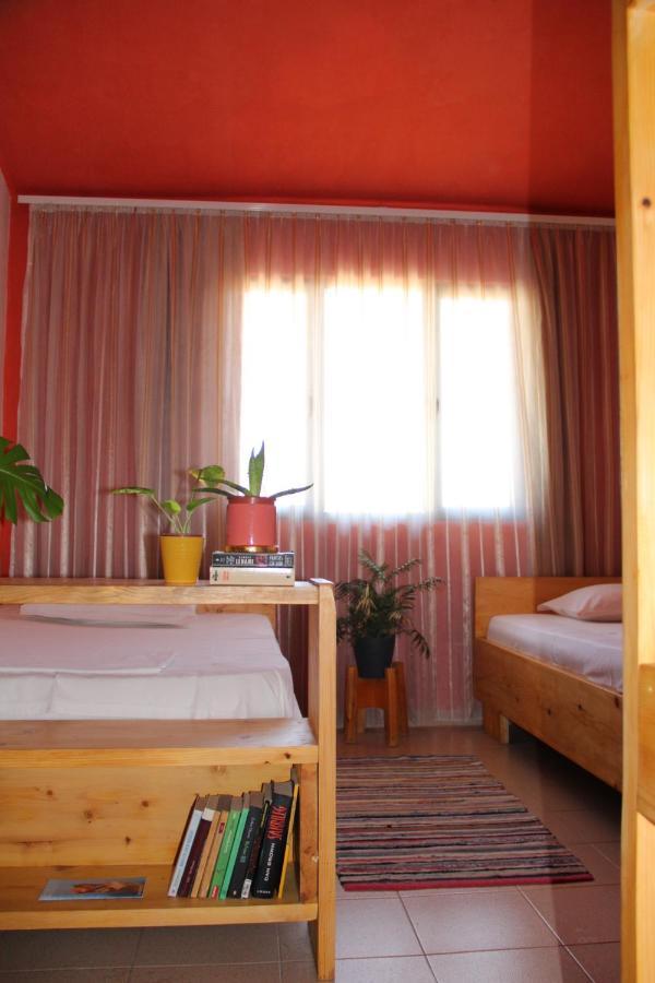 Cozy Big Apartment With Balcony Tirana Exterior photo